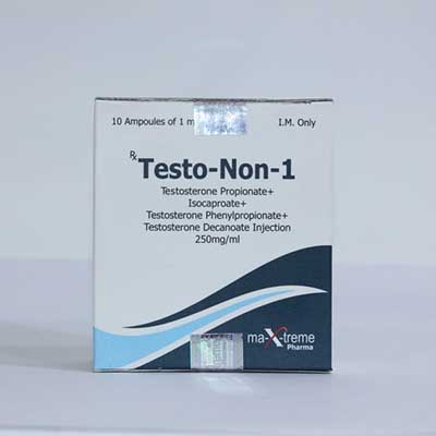 Buy Sustanon 250 (Testosterone mix) at Catalogo online italiano | Testo-Non-1 Online