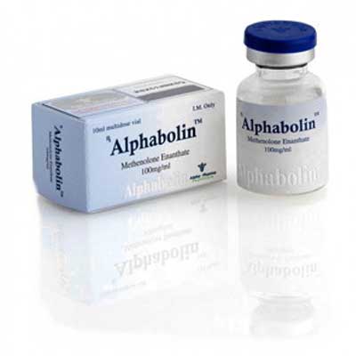 Buy Methenolone enanthate (Primobolan depot) at Catalogo online italiano | Alphabolin (vial) Online