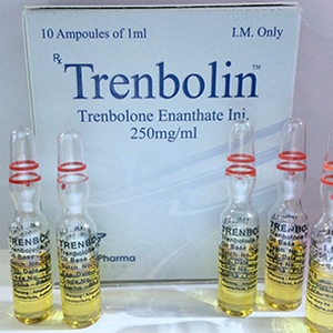 Buy Trenbolone enanthate at Catalogo online italiano | Trenbolin (ampoules) Online